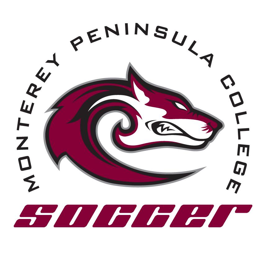 Soccer Logo